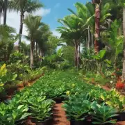 如果在热带地区种植这种植物会怎么样？