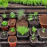 什么是最好的种植土壤和营养素来源吗？