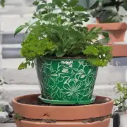 为什么要更换绿萝的花盆？