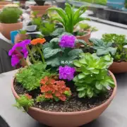 怎样判断一个花盆是否适合特定的植物品种?