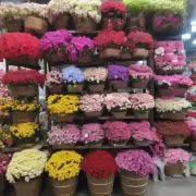贵公司是否有专门从事云南省昆明市地区的干鲜花采购业务?