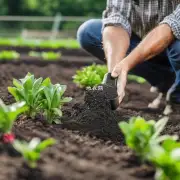 我听说施用有机肥可以提高植物的抵抗力和营养价值但有机肥的价格较高那什么样的肥料最适合这两种植物呢?