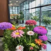 办公室楼大厅的花卉有哪些常见种类?