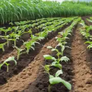 什么是最佳种植方式来最大限度地减少土壤流失风险？