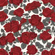 为什么红玫瑰被认为是一种代表爱意的礼物选择？