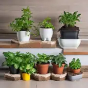 如何为室内植物选择合适的土壤和养分?
