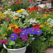 你喜欢在户外还是室内养护你的花朵？