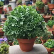 它是什么植物组成的？