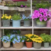 怎样选择合适的容器来容纳您的花卉？