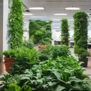 哪些类型的绿色植物对办公室环境有益处？