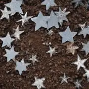 为什么要使用特定类型的土壤来种植银星秋呢？