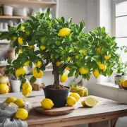 怎样才能在室内成功培育盆栽柠檬而不受季节限制呢？