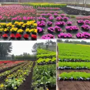 你是否知道任何特殊的种植方法技术或者设备可以帮助提高花卉产量并减少成本吗？