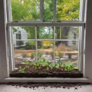 在春季或秋季进行最佳更换土壤的时间窗口是几个星期长呢？