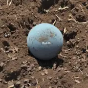百合种球对土壤的要求是什么样的呢？