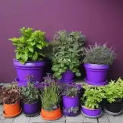如何正确选择和种植紫砂盆栽？