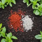 哪些肥料是适合种植不同种类的植物的最佳选择呢？
