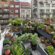 我想在阳台上种一些植物来美化我的家但是不知道该如何养护它们呢你能告诉我怎么照顾这些植物吗？