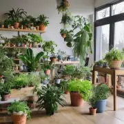 什么样的植物适合放在室内过冬?