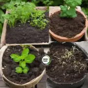 对于种植花草的人来说如何选择适合自己生长环境的土壤呢?