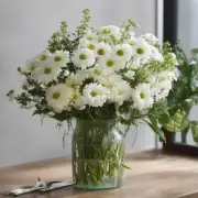 白花兜兰是一种适合在室内栽培的植物吗?