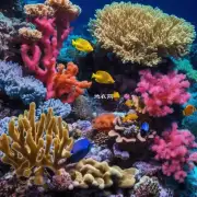 第三问珊瑚是如何进行生殖隔离的?