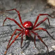 是否必须用烟丝才能杀死红蜘蛛?