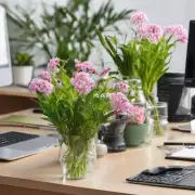 在办公室里适合用来装饰和摆放什么花卉植物?