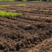 有哪些可以提高土壤的肥力的方法?