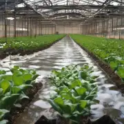 我想知道如何在水培植物的生长过程中控制水分蒸发的速度并防止土壤过度干燥呢?