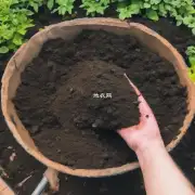 在土壤中添加有机物和腐殖质的最佳方式是什么?