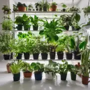 哪些植物能适应室内环境并保持健康的生长状态?