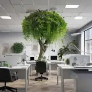 在办公室里放置什么类型的植物能够使工作效率提升?
