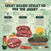 如果您的多肉放置在阳光直射的地方应该如何采取措施保护您的种植物免受过度曝晒的影响?