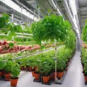 在室内环境中生长哪些多肉植物能够有效吸收二氧化碳并释放氧气浓度?