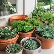 哪些植物适合在不透气的盆子中种植?