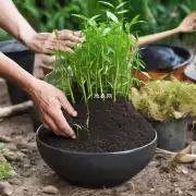 如何制作最佳的毛竹盆栽的土壤混合物?