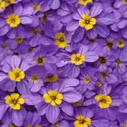 紫藤花的文化意义有哪些?