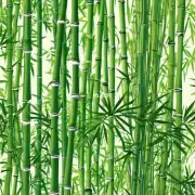 竹子的繁殖方式如何影响植物的繁殖?