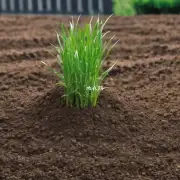 如何根据土壤类型选择合适的肥料种类?