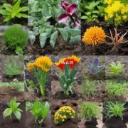 碱性土壤中哪些植物能够改善土壤生物多样性?