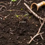 如何让栀子花泡出根的最佳土壤类型?