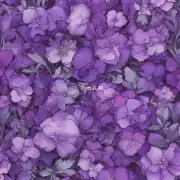 紫茉莉什么时候种?